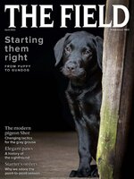 The Field